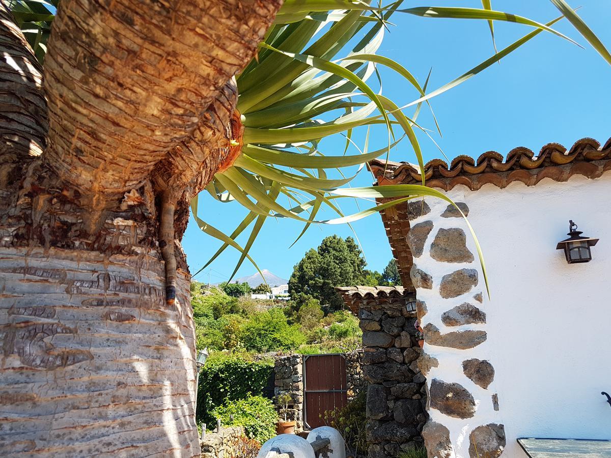 Finca Los Ciruelos Casas Rurales Икод де лос Винос Екстериор снимка